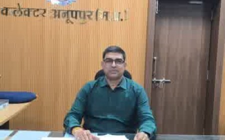 बाढ़ प्रभावित रपटे एवं पुल-पुलिया पार करने का प्रयास न करें : कलेक्टर श्री रत्नाकर झा