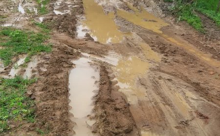 सावन की फुहारों से सड़क बनी दलदल, स्कूल जाने वाले बच्चों से लेकर एम्बुलेंस तक बेहाल