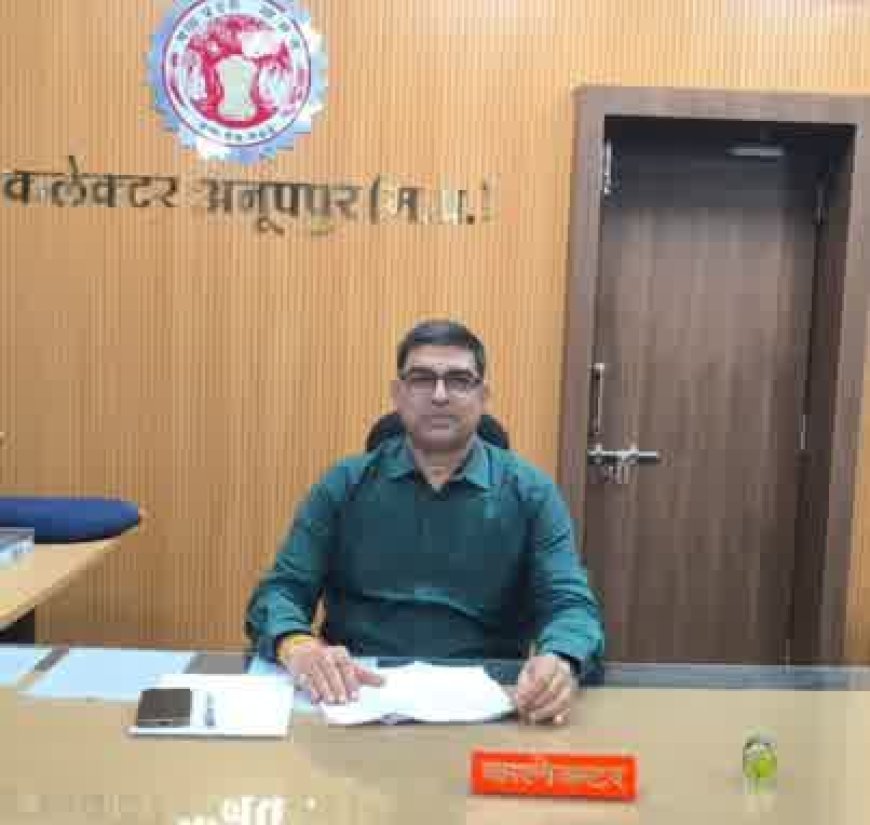 बाढ़ प्रभावित रपटे एवं पुल-पुलिया पार करने का प्रयास न करें : कलेक्टर श्री रत्नाकर झा
