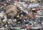 कचरे के ढेर में दब गई शहडोल नगरपालिका की सफाई व्यवस्था!