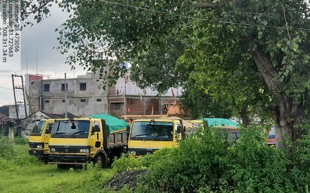अवैध रेत परिवहन पर बड़ी कार्यवाहि, जैतपुर पुलिस ने 80 लाख के 5 डंपर पकड़े