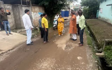 वार्डों के पैदल निरीक्षण पर निकलीं CMO, नालियों की सफाई और सड़क के गड्ढे भरने के दिए निर्देश