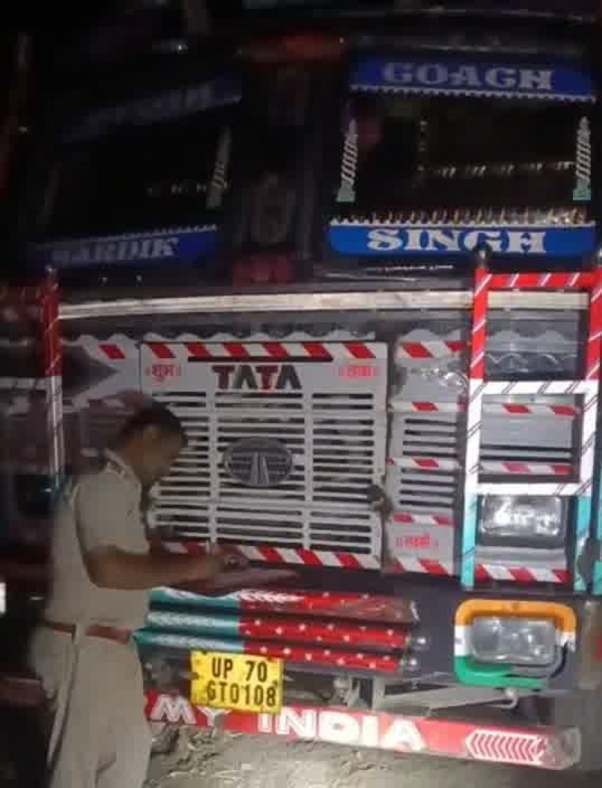 पकरिया चौराहे पर बुढ़ार पुलिस का शिकंजा, ठूंस-ठूंसकर ले जाए जा रहे 25 पशु बरामद