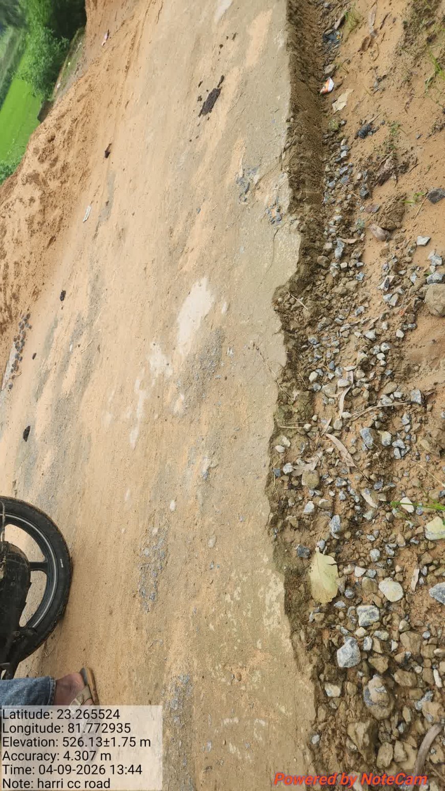 हर्री पंचायत में विकास की अनोखी तस्वीर! ग्रेवल रोड पहले ही सवालों में, अब 25 लाख की सीसी सड़क 25 दिन में बिखरने की कगार पर