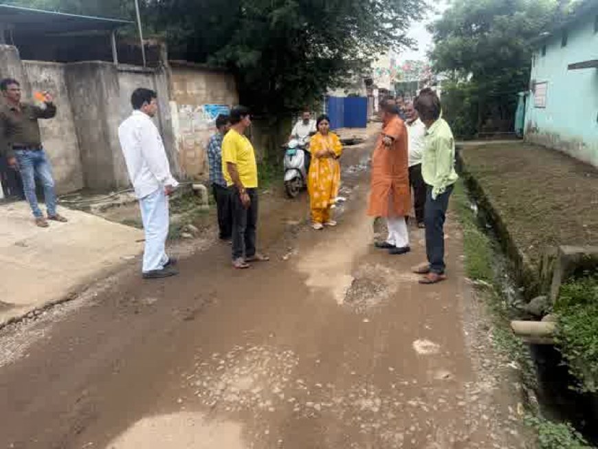 वार्डों के पैदल निरीक्षण पर निकलीं CMO, नालियों की सफाई और सड़क के गड्ढे भरने के दिए निर्देश