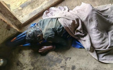 अनूपपुर में दिल दहला देने वाली वारदात: युवक ने मां, नाना-नानी समेत 4 को डंडे से पीटकर मार डाला, कई