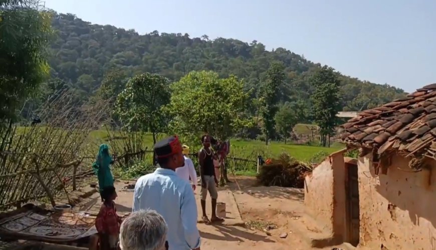 शहडोल में टूटी बिजली की सर्विस लाइन बनी हाथी की मौत की वजह! चंदौली गांव में मिला शव